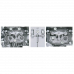 LICOTA ATA-4434 Съёмник форсунок BMW N20, N55, OEM: 130320